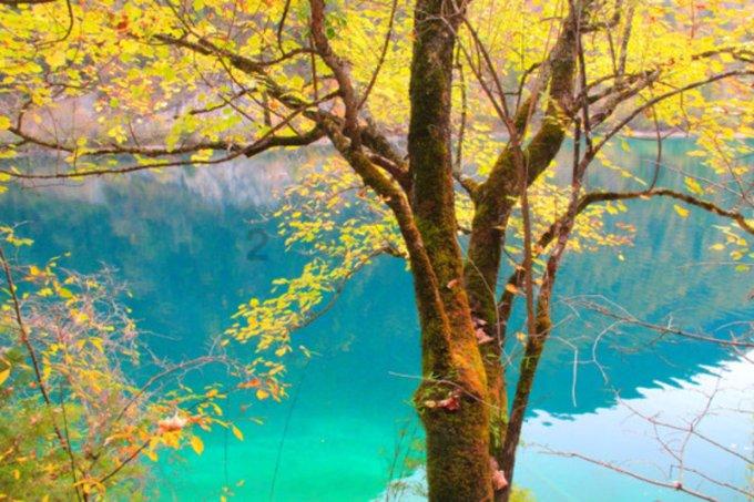 玉兔二号在月球跑完1000米了，“神秘小屋”的真面目揭晓了吗？游戏画面