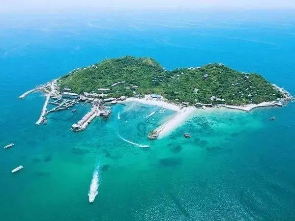 海之号角神秘海怪
