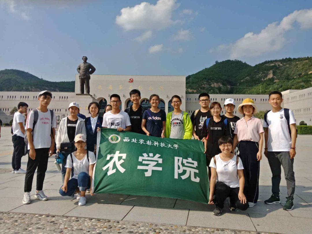 子弹风暴